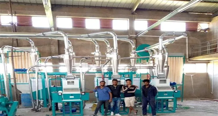Small Low Investment Maize Corn Mill for Starter