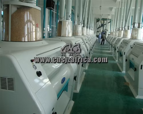 Equipment for Wheat Flour Grinding Maize Flour Grinding Machine Wheat Flour Mill