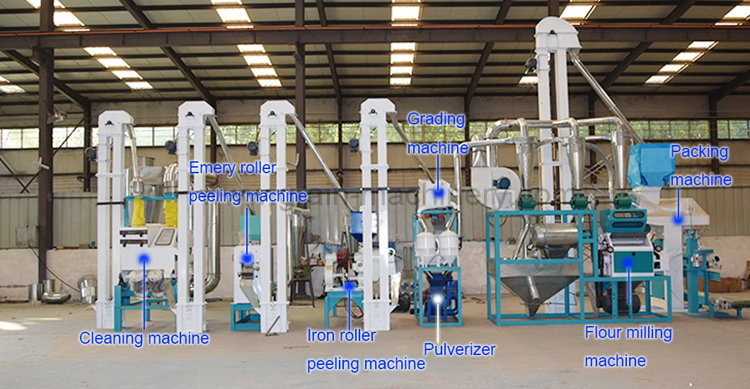 CE ISO 10 - 15 Tpd Complete Set Maize Corn Meize Flour Meal Powder Grits Mill Milling Grinding Making Grind Machine at Low Price Life-Long After-Sell Service